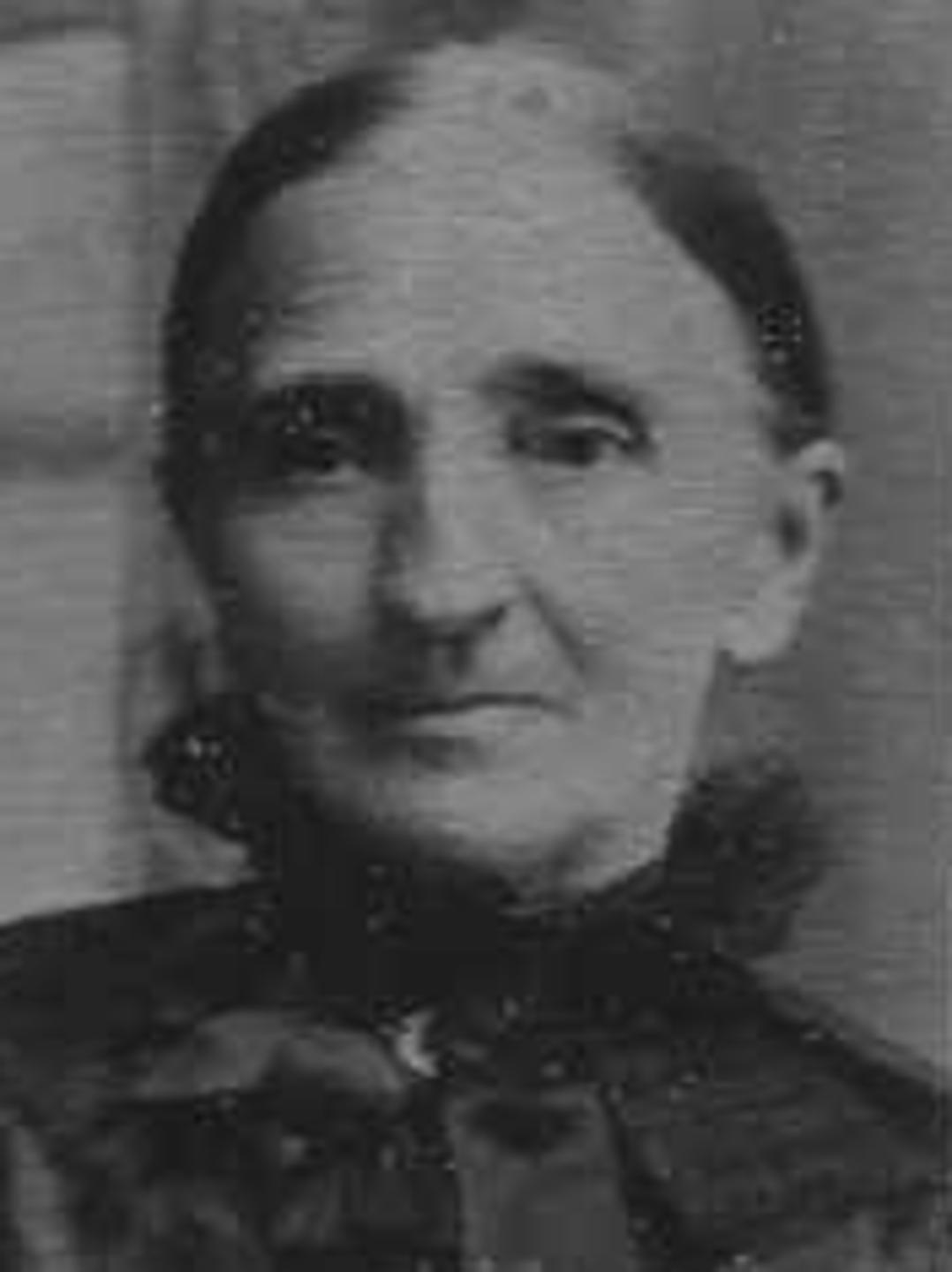 Alice Ann Wardle (1839 - 1912) Profile